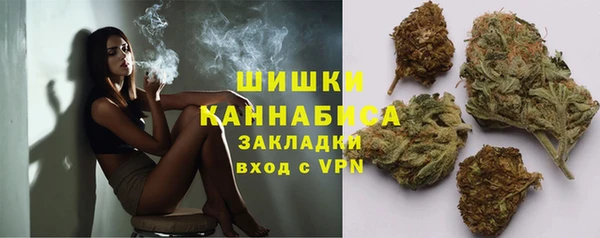трава Переславль-Залесский