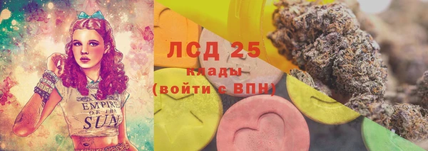 крисы Пересвет