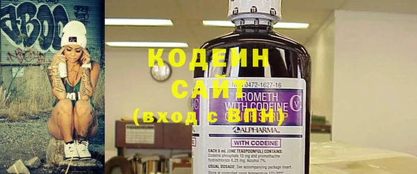 эйфоретик Галич
