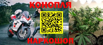 мдпв Гай