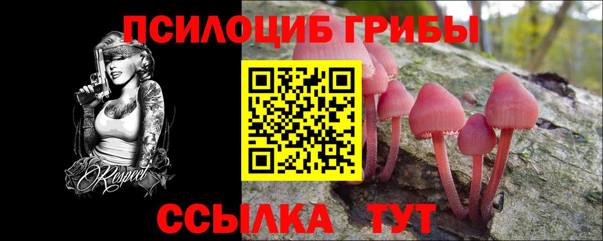 Псилоцибиновые грибы Psilocybine cubensis  Вход с VPN  Псилоцибиновые грибы прущие грибы  Кропоткин 