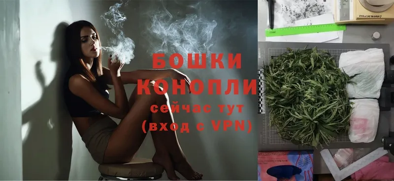 Конопля SATIVA & INDICA  Кропоткин 